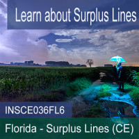 Florida: 6 hr all Licenses CE - Surplus Lines (INSCE036FL6)