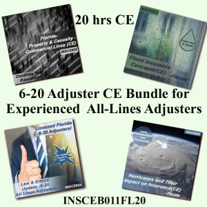  20 hr CE  6-20 Adjuster CE Bundle for Experienced All-Lines Adjusters (INSCEB011FL20)