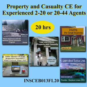  20 hr CE - Property and Casualty CE Bundle for Experienced 2-20 or 20-44 Agents (INSCEB013FL20)