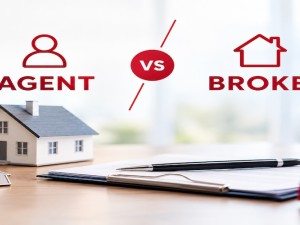 Florida Real Estate Agent vs. Broker: What Is the Difference?