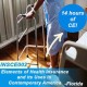 14 hr All lines CE - Elements Of Health Insurance & It's Uses 