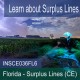 6 hr all Licenses CE - Surplus Lines