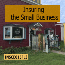 3 hr CE Insuring the Small Business